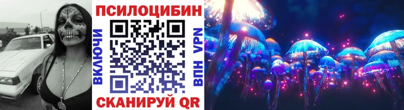 где продают   Городовиковск  Псилоцибиновые грибы GOLDEN TEACHER 